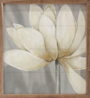 Golden Waterlily 1 By Carol Robinson